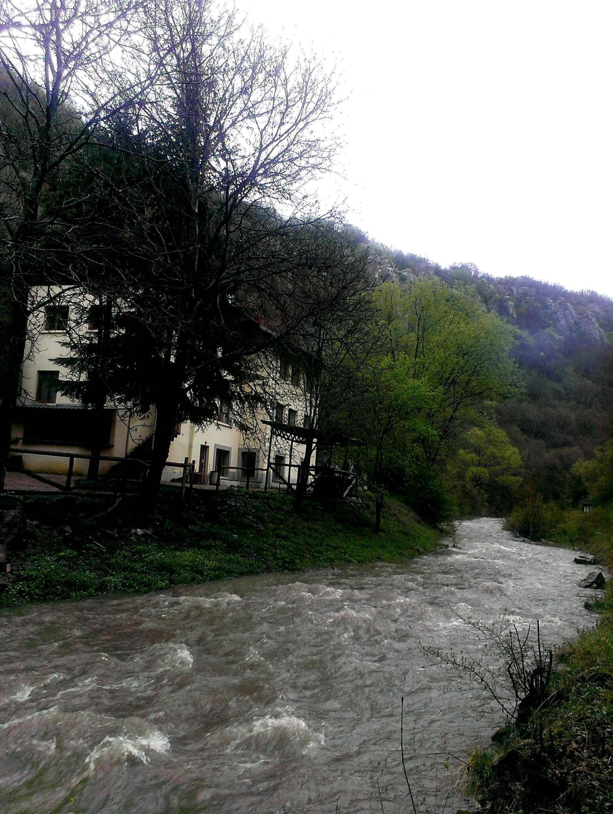 snimki