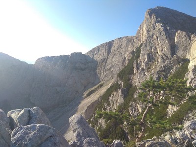 Синаница, 2019