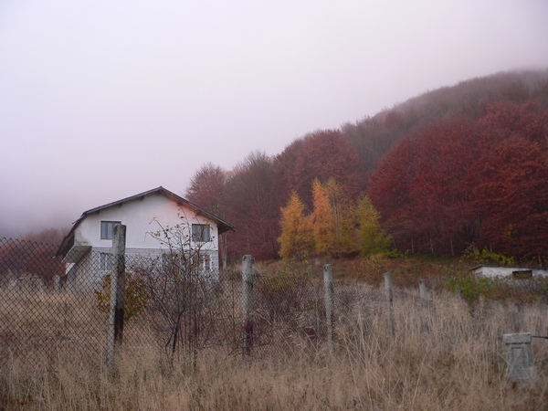 picture_two.jpg